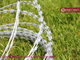 BTO-22 Concertina Razor Barbed Wire Coil | HGI | 500mm diameter | HeslyFence-China supplier